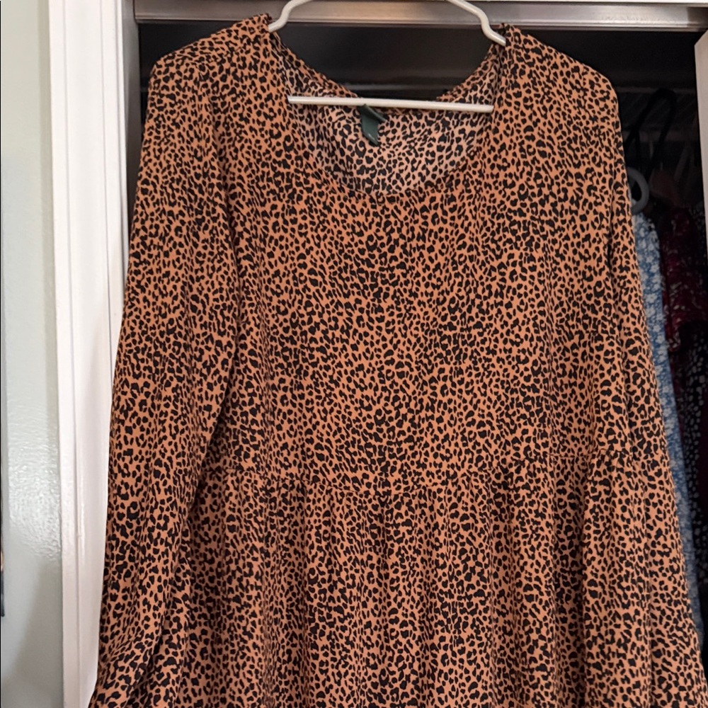 Wild‎ Fable Leopard Print Long Sleeve Mini Dress